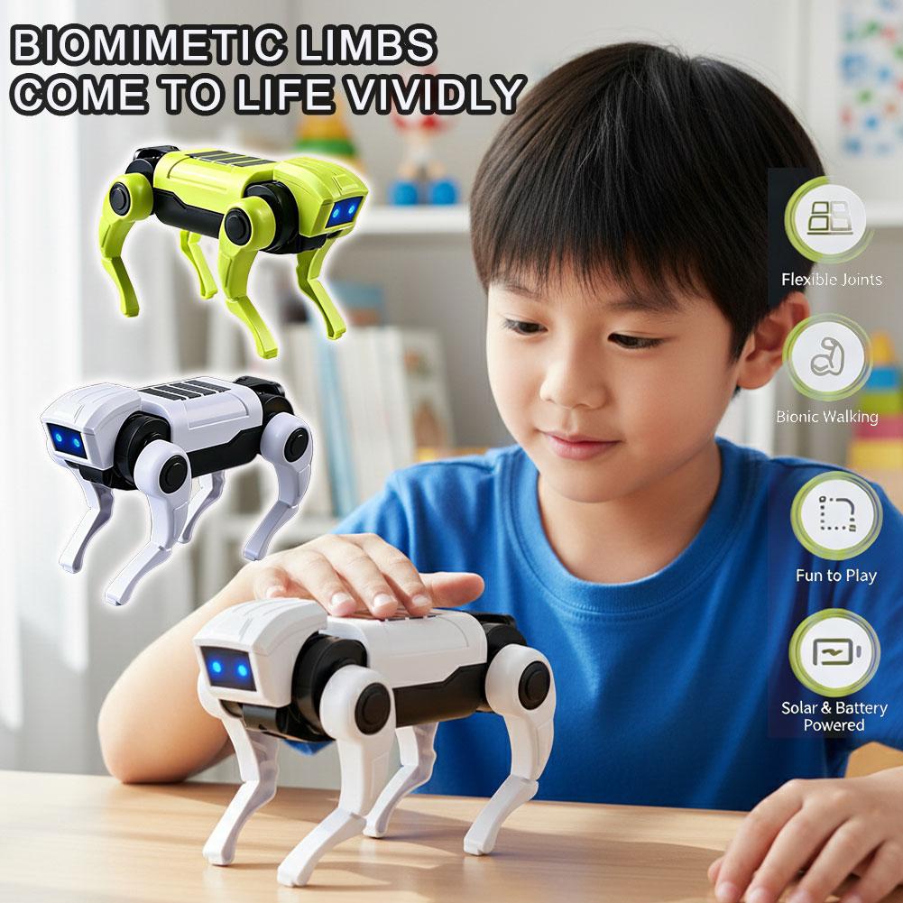 DIY Assembly RC Robot Dog Toy  - Rc Hobby Kit recension och pris